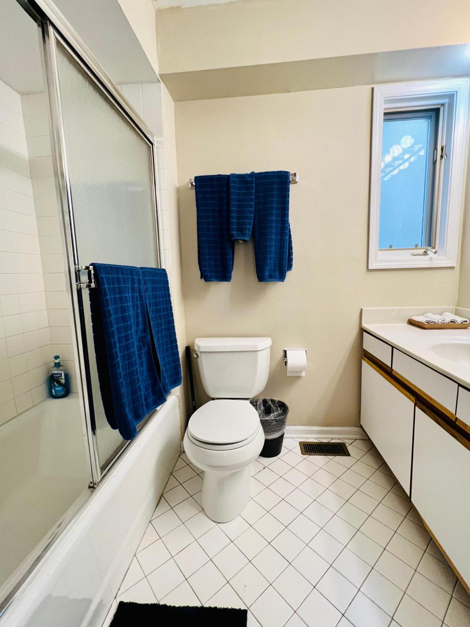 Designer Themed 4 Bedroom In Location With Patio And Fireplace Chicago