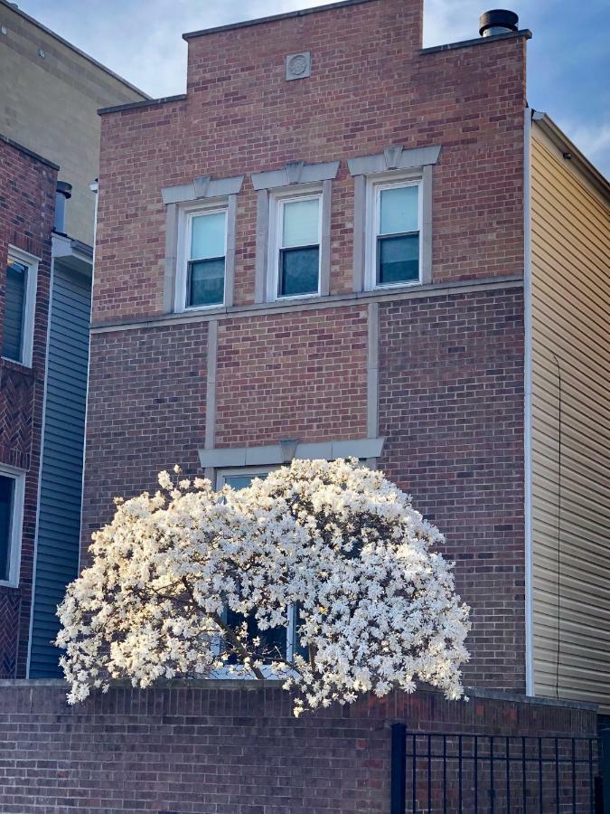 Designer Themed 4 Bedroom In Location With Patio And Fireplace * Chicago